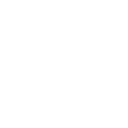 white stethoscope icon