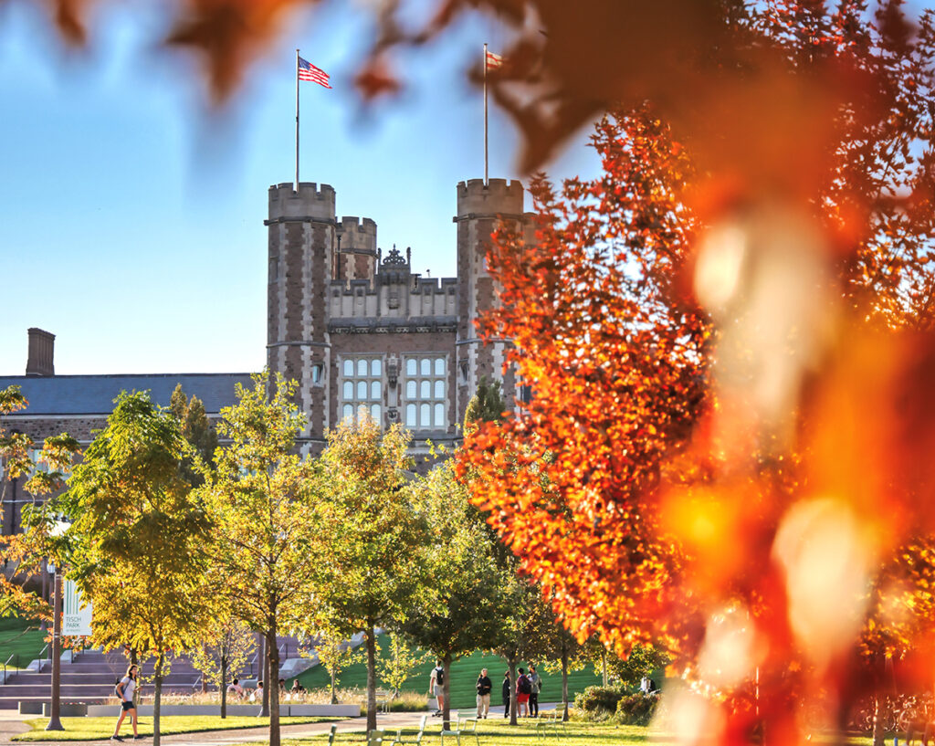 Brookings Hall in background with leaves in foreground