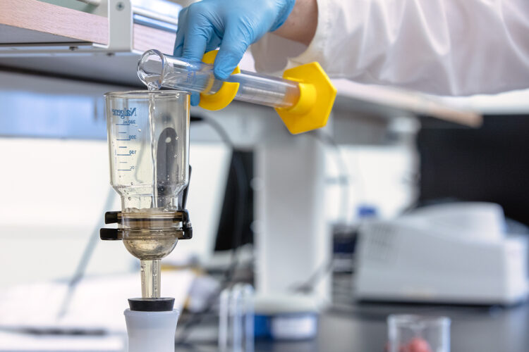 Undergraduates explore cellular dynamics through original research