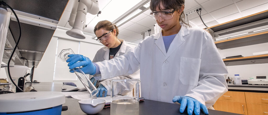 two researchers working in a lab
