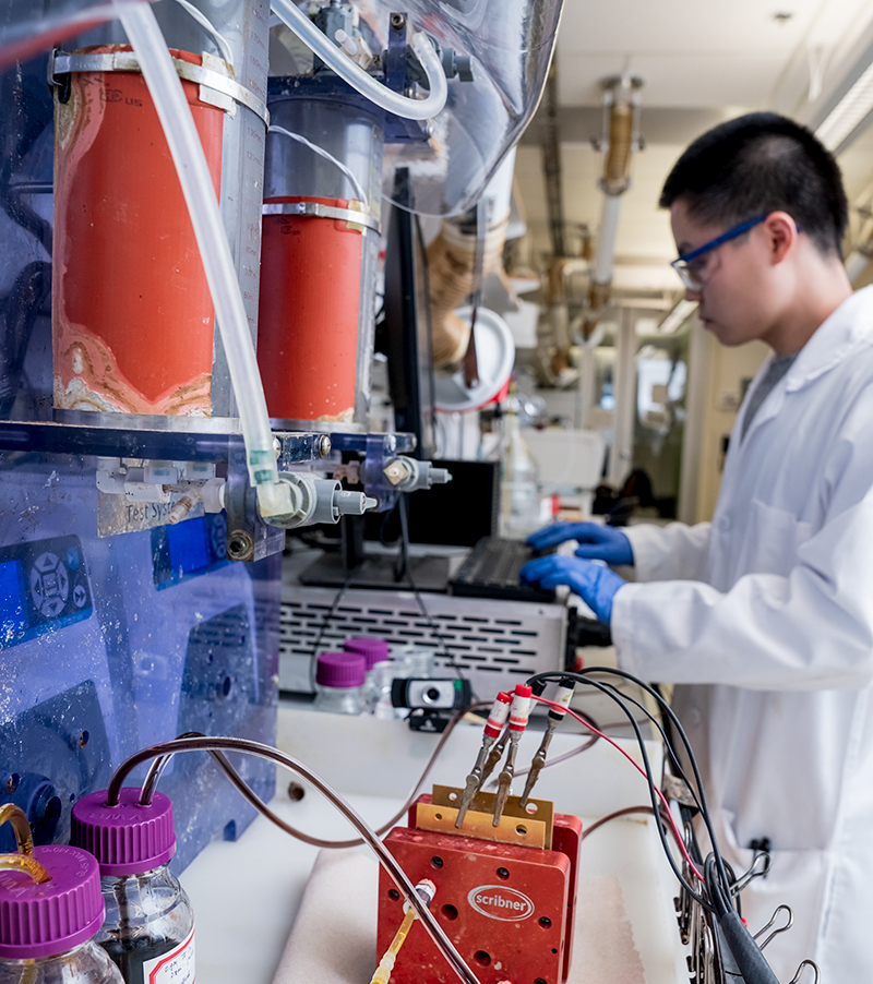 a researcher works in a lab