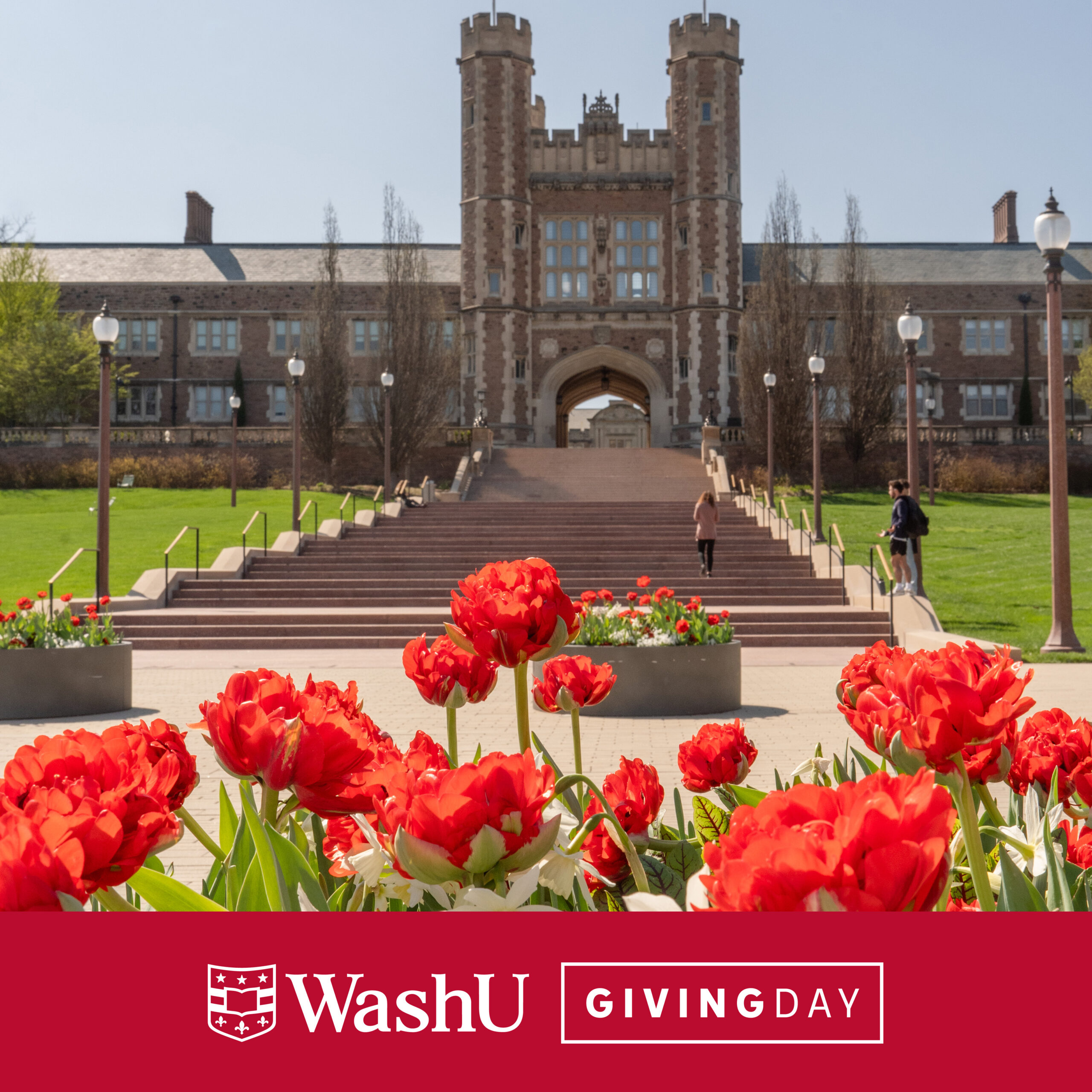 Social media graphic promoting WashU Giving Day featuring an image of Brookings Hall on a sunny spring day with red flowers in the foreground