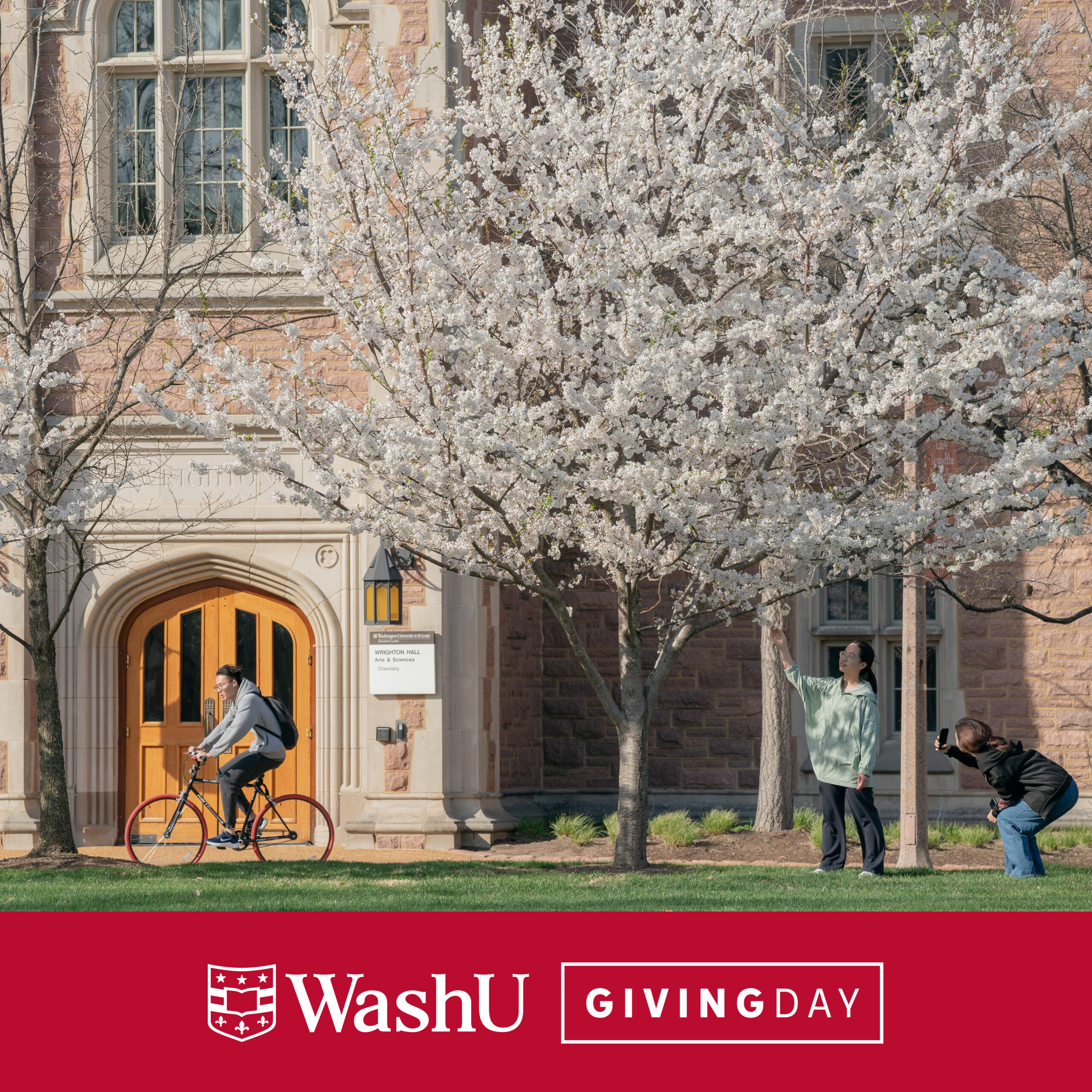 Social media graphic promoting WashU Giving Day featuring an image of the campus in springtime