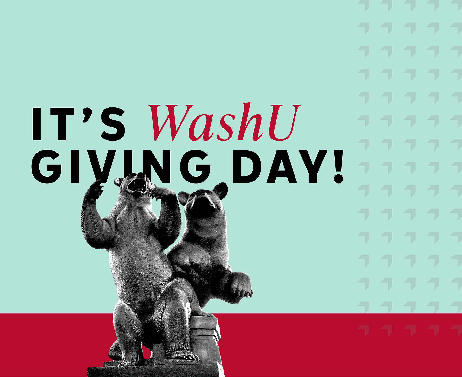 bears with it's WashU Giving Day text