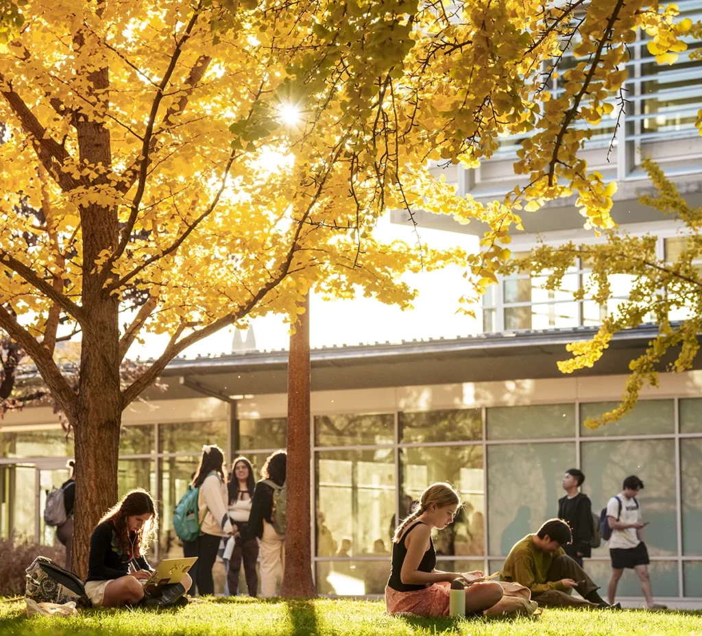 students studying in front of Olin Library