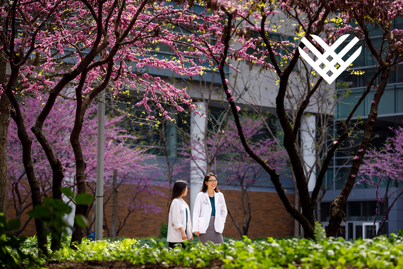 doctors talking outside during fall